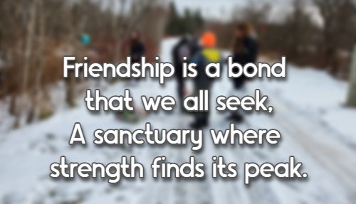 Friendship is a bond that we all seek, A sanctuary where strength finds its peak.