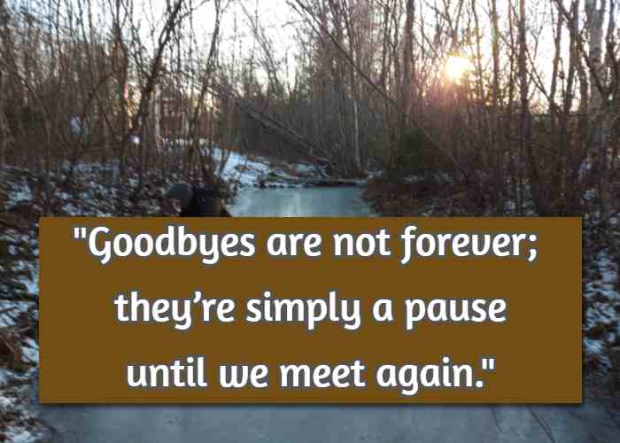 Goodbyes are not forever; they’re simply a pause until we meet again.