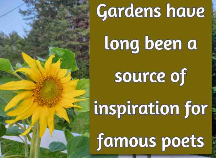 Gardens have long been a source of inspiration for famous poets