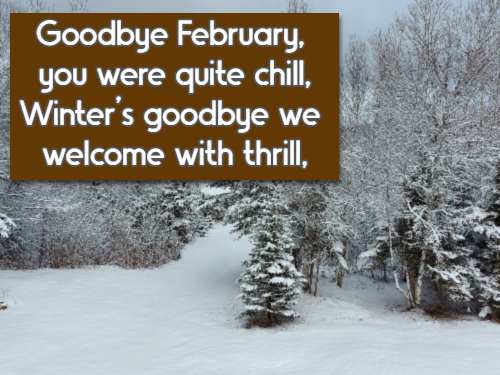 Goodbye February, you were quite chill, Winter's goodbye we welcome with thrill