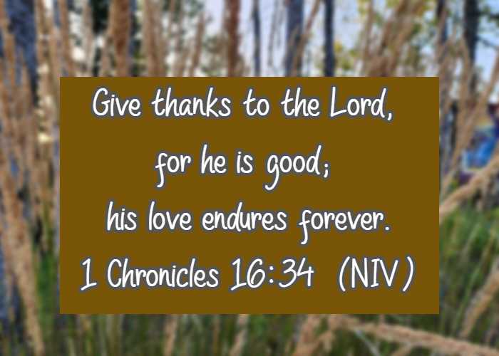 Give thanks to the Lord, for he is good; his love endures forever. 1 Chronicles 16:34  (NIV)