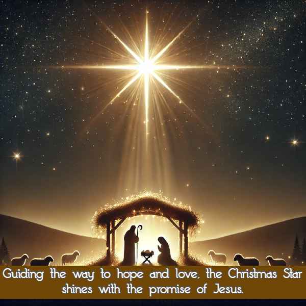 Guiding the way to hope and love, the Christmas Star shines with the promise of Jesus.