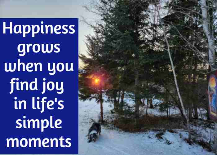 Happiness grows when you find joy in life's simple moments