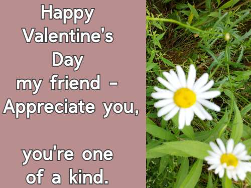 Happy Valentine's Day my friend - Appreciate you, you're one of a kind.