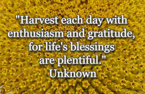 Harvest each day with enthusiasm and gratitude, for life's blessings are plentiful.