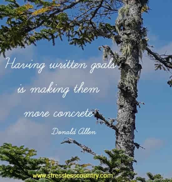 Want goals to be more concrete then follow the quote by Donald Allen