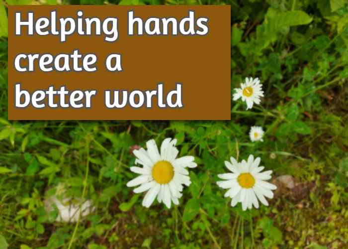 Helping hands create a better world