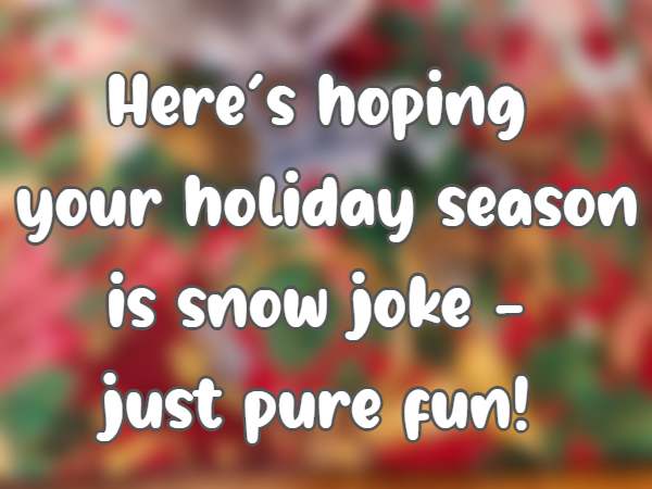 Here’s hoping your holiday season is snow joke - just pure fun! 