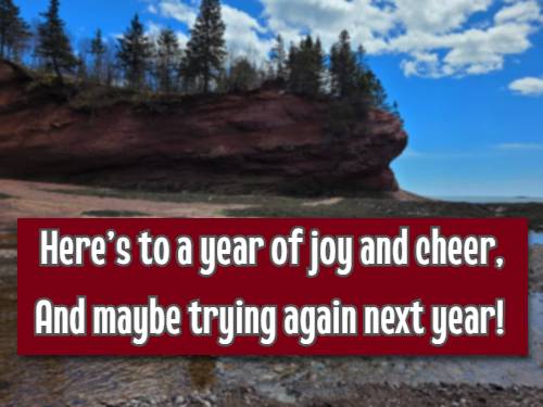 Here’s to a year of joy and cheer, And maybe trying again next year!