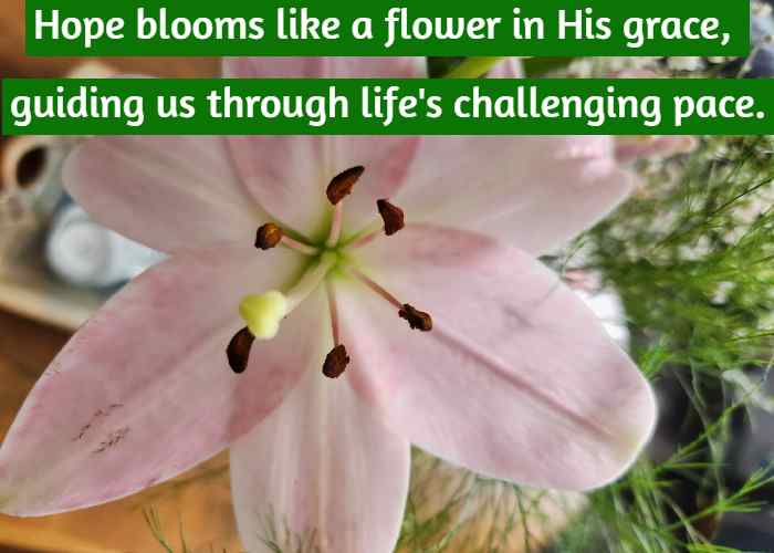 Hope blooms like a flower in His grace, guiding us through life's challenging pace.