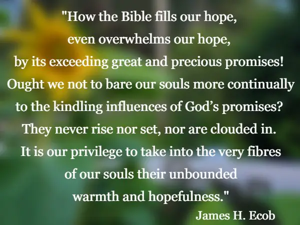 How the Bible fills our hope, even overwhelms our hope, by its exceeding great and precious promises! Ought we not to bare our souls more continually to the kindling influences of God’s promises? They never rise nor set, nor are clouded in.  It is our privilege to take into the very fibres of our souls their unbounded warmth and hopefulness. James H. Ecob