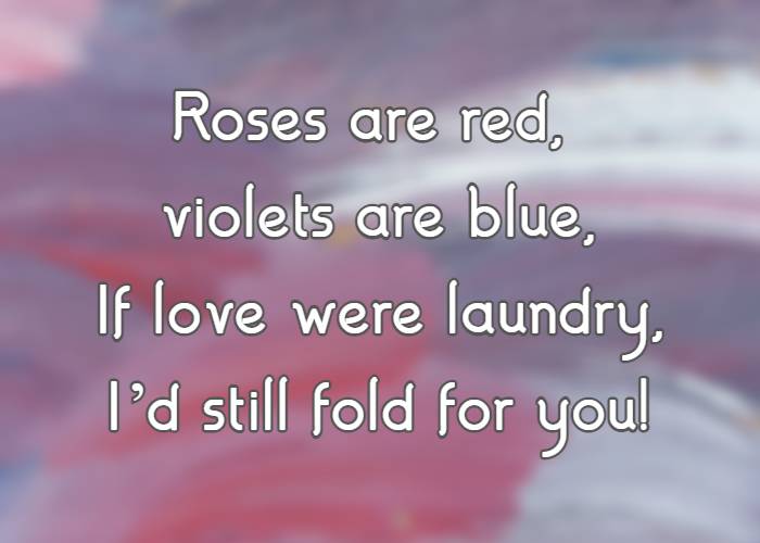 Roses are red, violets are blue, If love were laundry, I’d still fold for you!