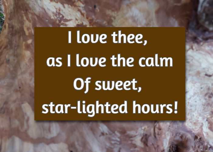 I love thee, as I love the calm Of sweet, star-lighted hours!