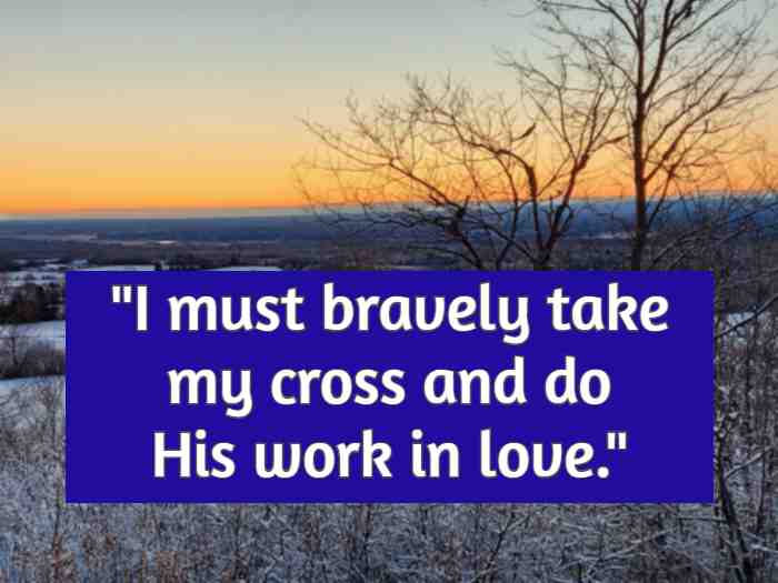 I must bravely take my cross and do His work in love.