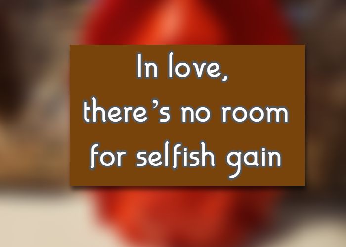 in love, there's no room for selfish gain