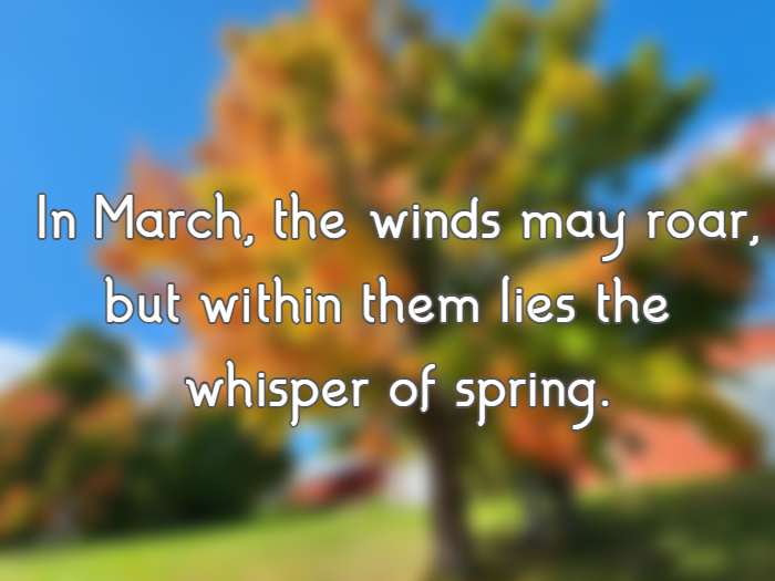 In March, the winds may roar, but within them lies the whisper of spring.