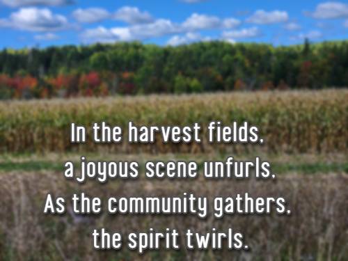 In the harvest fields, a joyous scene unfurls, As the community gathers, the spirit twirls.