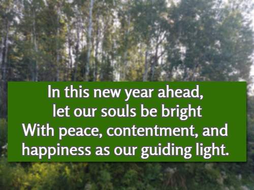 In this new year ahead, let our souls be bright With peace, contentment, and happiness as our guiding light.