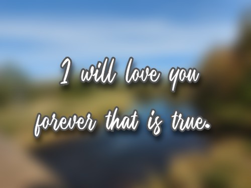 I will love you forever that is true.