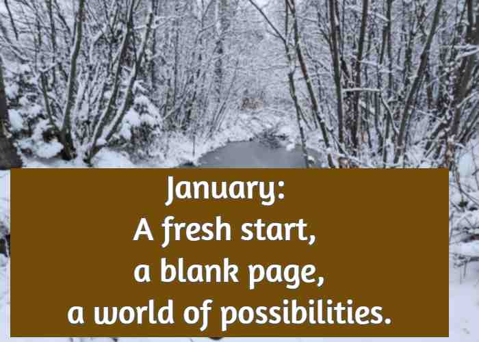 January: A fresh start, a blank page, a world of possibilities.