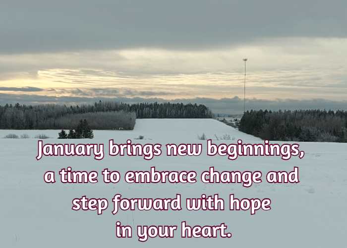 January brings new beginnings, a time to embrace change and step forward with hope in your heart.