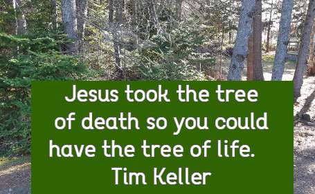 Jesus took the tree of death so you could have the tree of life.