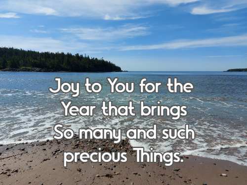 Joy to You for the Year that brings So many and such precious Things.