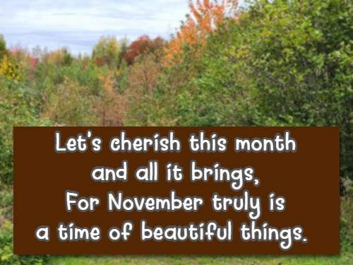 Let's cherish this month and all it brings, For November truly is a time of beautiful things.