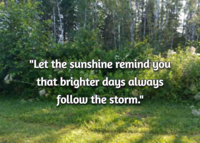 Let the sunshine remind you that brighter days always follow the storm.