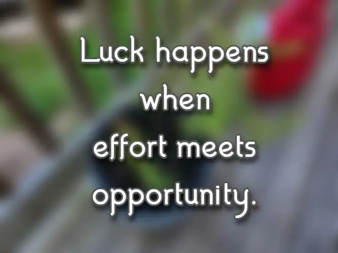 Luck happens when effort meets opportunity.