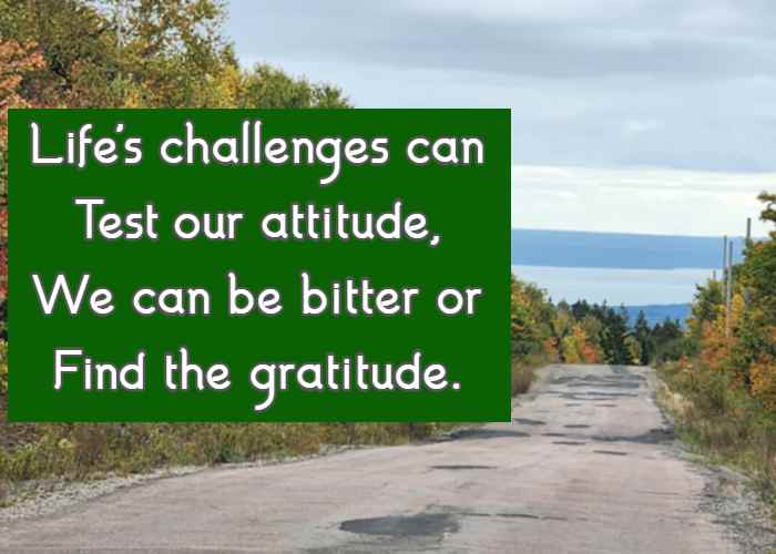 Life's challenges can Test our attitude, We can be bitter or Find the gratitude.