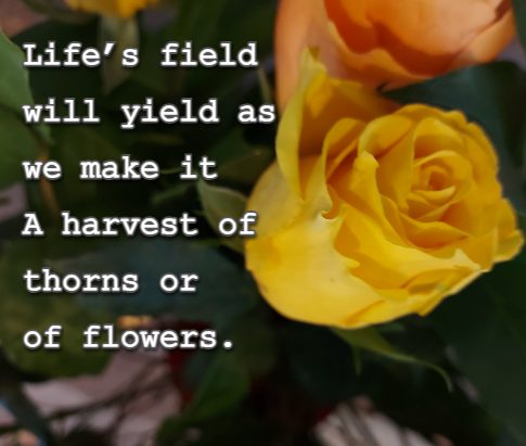 Life’s field will yield as we make it A harvest of thorns or of flowers.