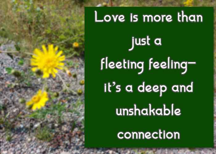 love is more than just a fleeting feeling—it’s a deep and unshakable connection.