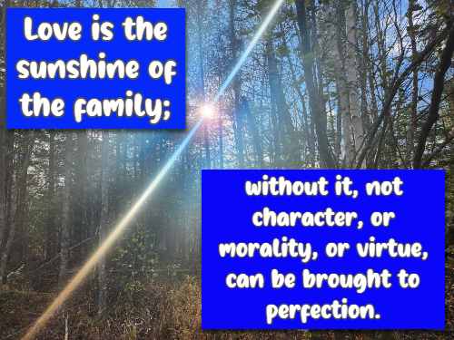  Love is the sunshine of the family; without it, not character, or morality, or virtue,  can be brought to perfection.