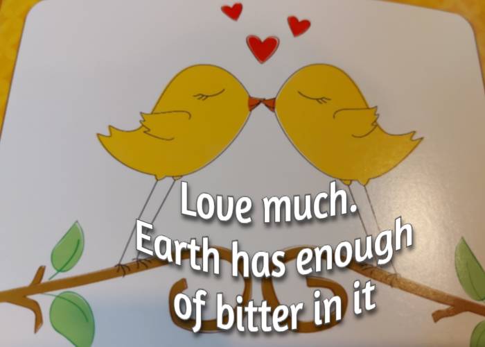 Love much. Earth has enough of bitter in it