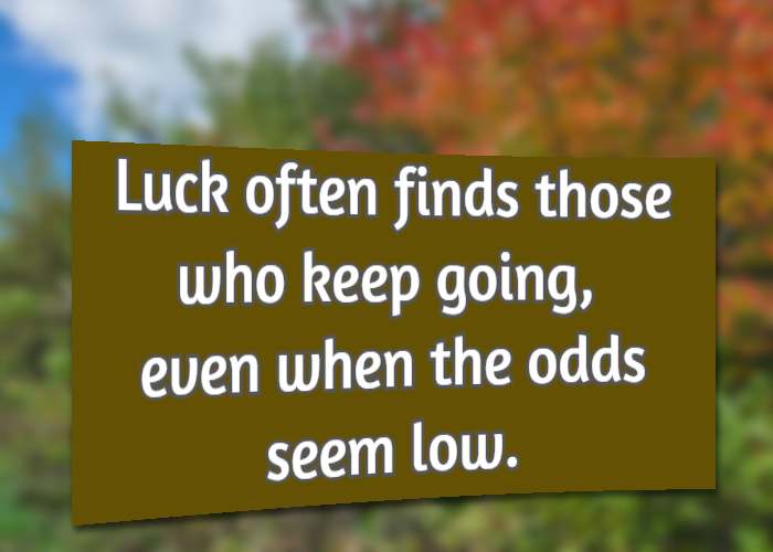 Luck often finds those who keep going, even when the odds seem low.