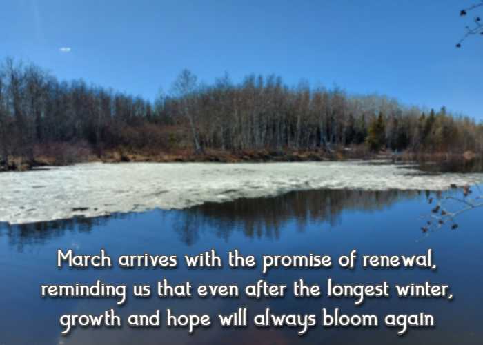 March arrives with the promise of renewal, reminding us that even after the longest winter, growth and hope will always bloom again