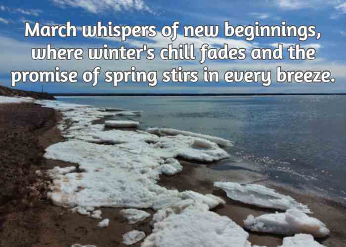 March whispers of new beginnings, where winter's chill fades and the promise of spring stirs in every breeze.