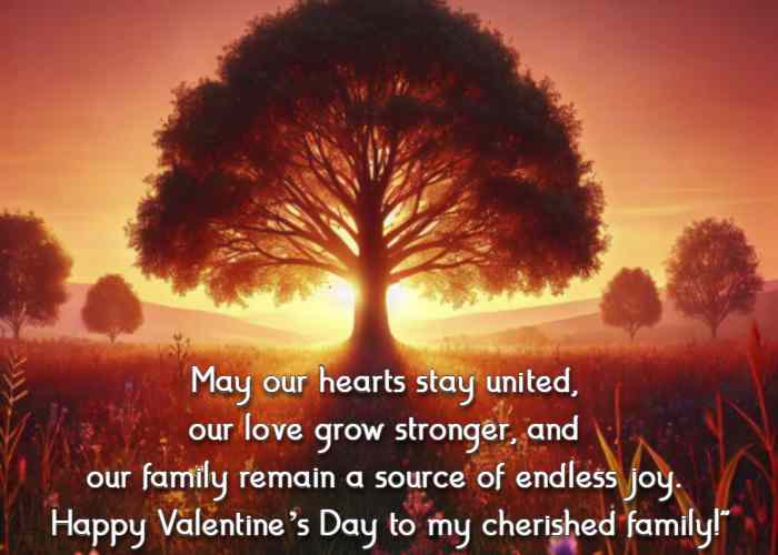 May our hearts stay united, our love grow stronger, and our family remain a source of endless joy. Happy Valentine’s Day to my cherished family!