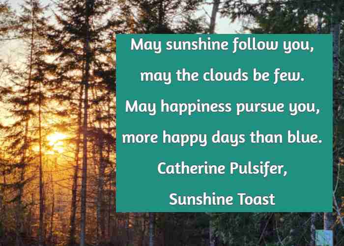 May sunshine follow you, may the clouds be few. May happiness pursue you, more happy days than blue. Catherine Pulsifer, Sunshine Toast