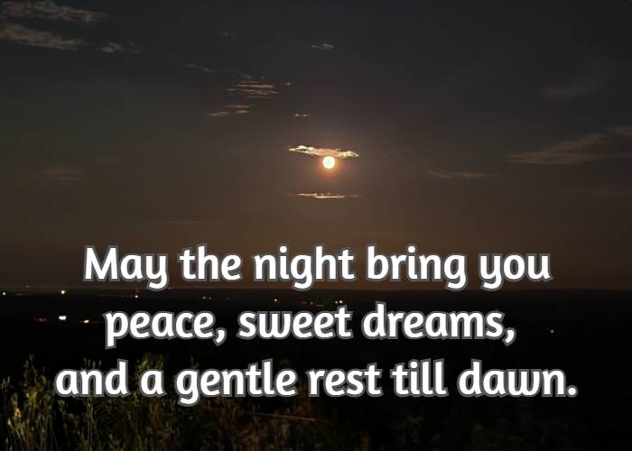 May the night bring you peace, sweet dreams, and a gentle rest till dawn.