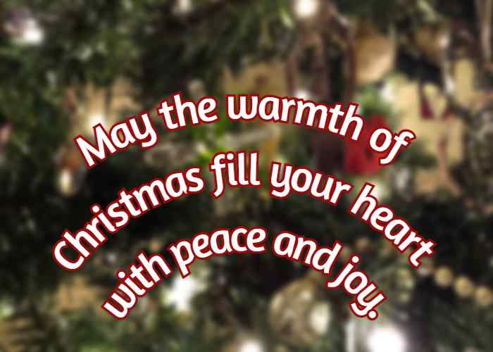 May the warmth of Christmas fill your heart with peace and joy.