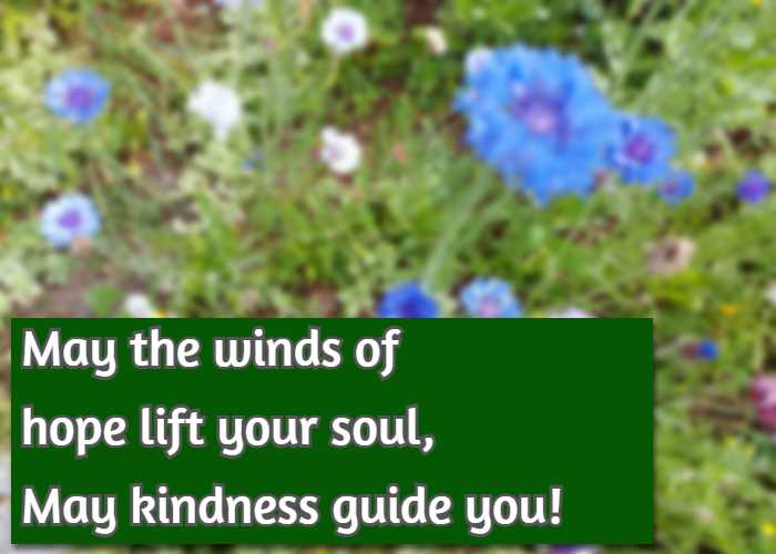 May the winds of hope lift your soul, May kindness guide you!