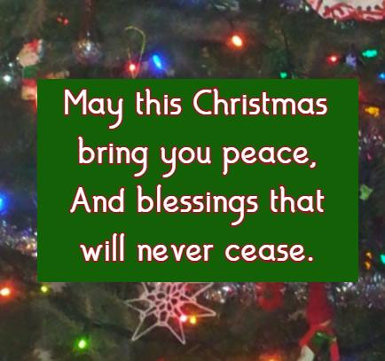 May this Christmas bring you peace, And blessings that will never cease.