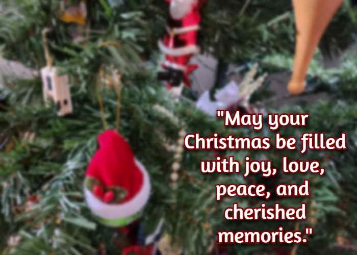 May your Christmas be filled with joy, love, peace, and cherished memories.