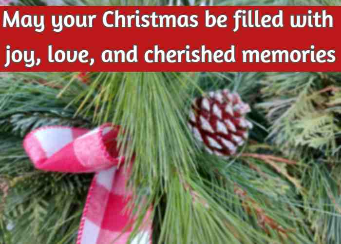 May your Christmas be filled with joy, love, and cherished memories