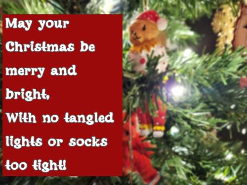     May your Christmas be merry and bright, With no tangled lights or socks too tight!