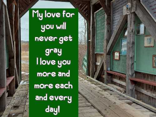 My love for you will never get gray I love you more and more each and every day!