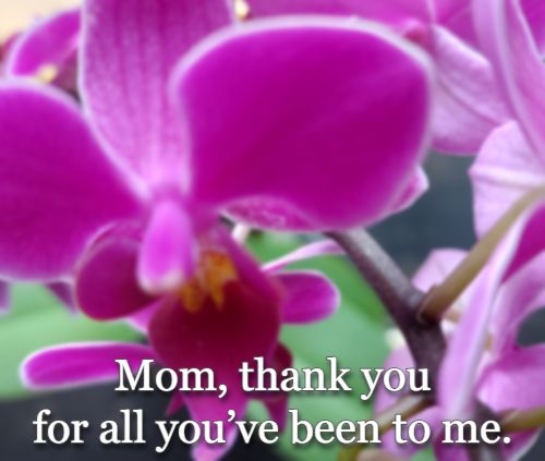 Mom, thank you for all you’ve been to me.