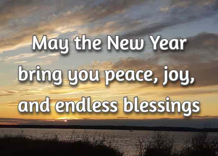 May the New Year bring you peace, joy, and endless blessings